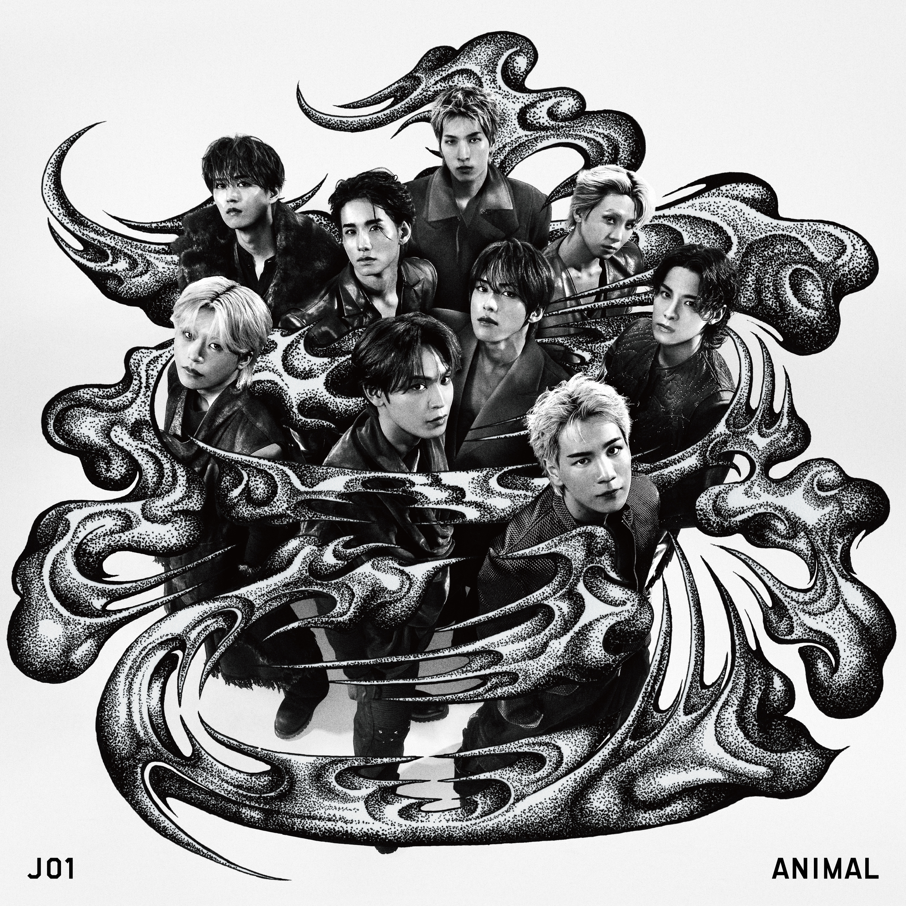DOWNLOAD JO1 OFFICIAL SITE