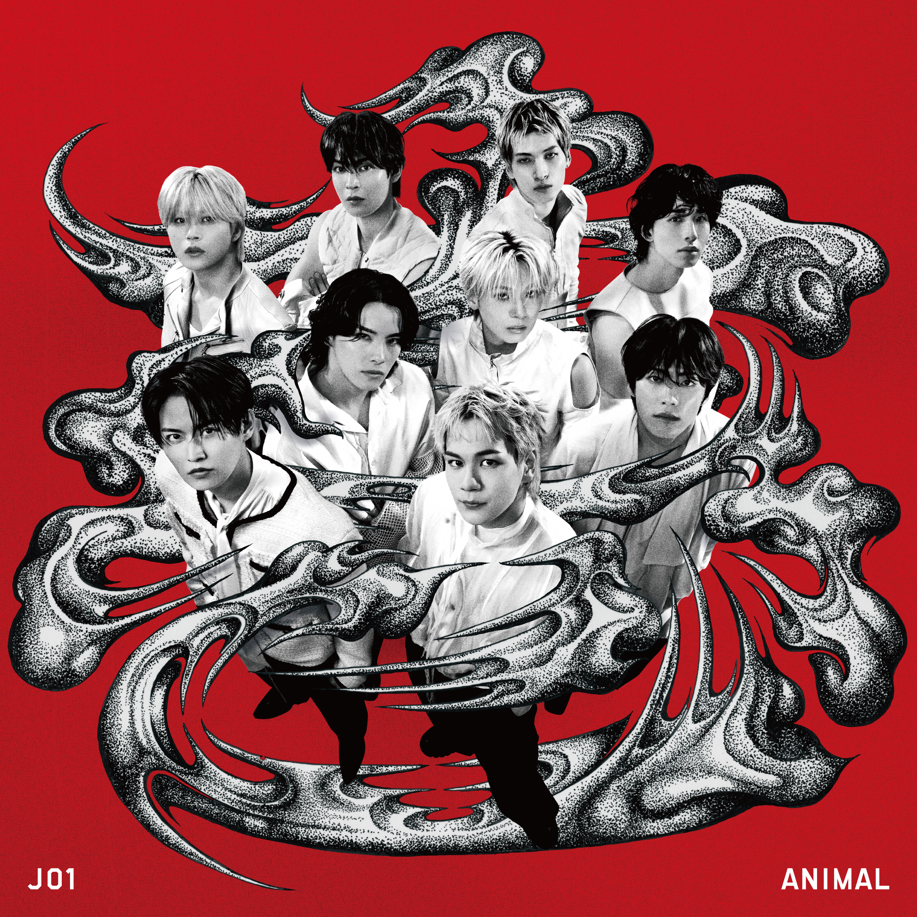 DOWNLOAD JO1 OFFICIAL SITE
