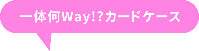 What the hell?! Card case